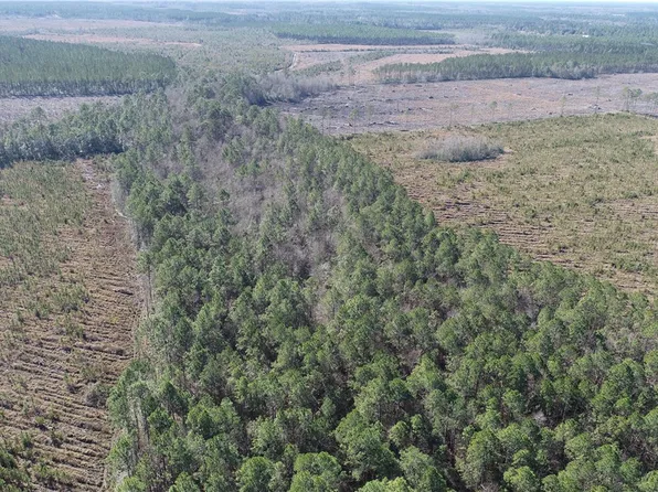 5100 Flowers Break Rd, Jesup, GA 31546