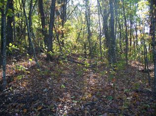 8 Raven Ridge Rd, Scaly Mountain, NC 28775