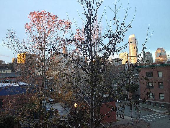 5th image of 1610 Belmont Ave APT 302