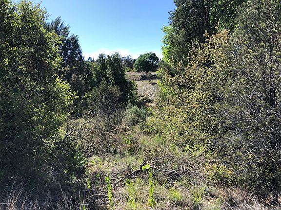 4th image of 1170 N Rose Quartz Dr