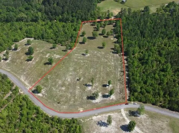 0 Cooks Pond Rd, Williston, SC 29853