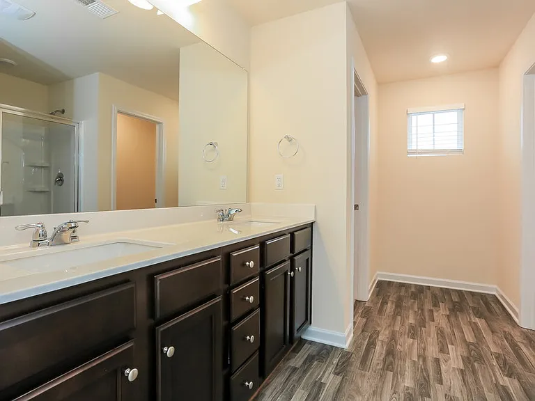 203 Hamilton Pointe Dr — Photo 11