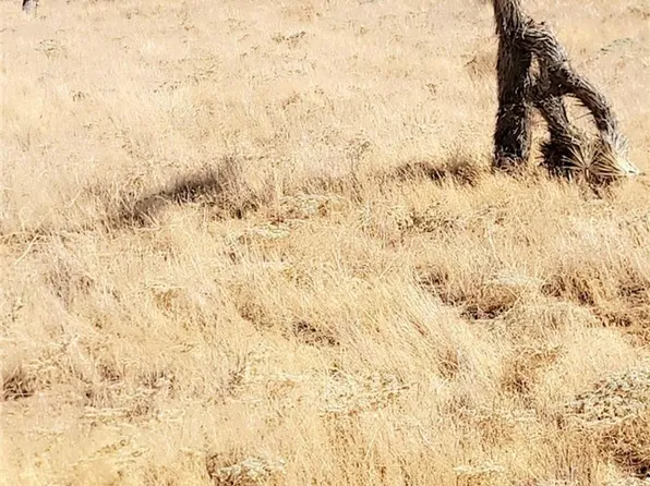 0 40th St W #31, Lancaster, CA 93536