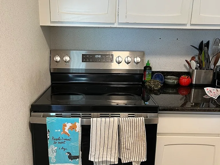 777 N Michigan Ave #2507 — Photo 4