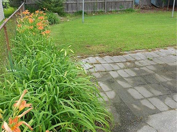 Gorgeous Day Lilly's!