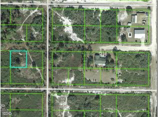 2991 W Orillia Rd, Avon Park, FL 33825