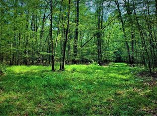 2553 Reservoir Hill Rd, Addison, NY 14801