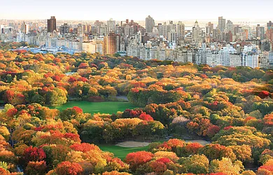 Sold by The Marketing Directors (The Sheffield)