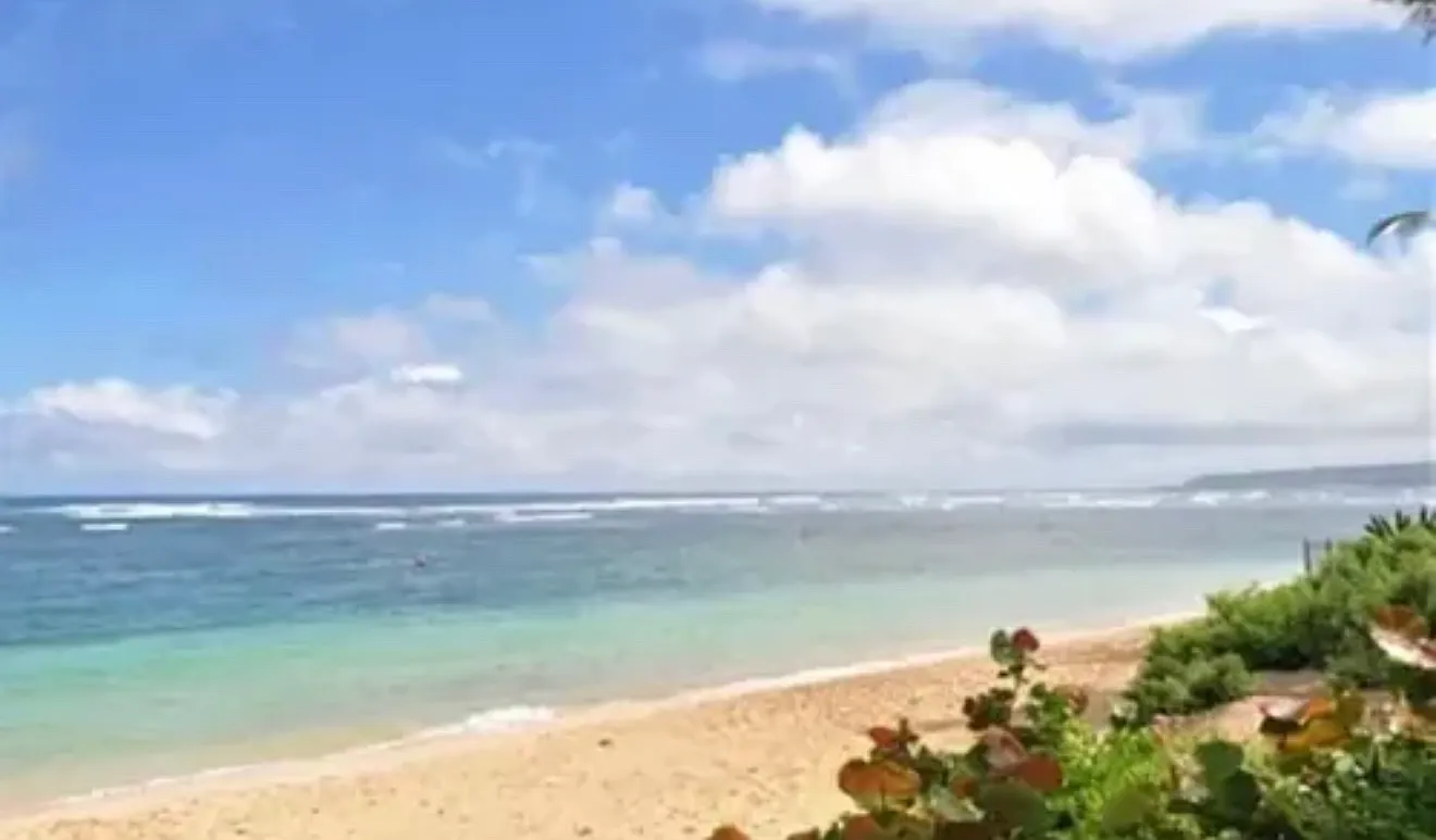 Kaamooloa Rd, Waialua — Photo 2