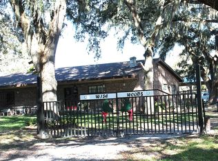 32907 Leonard Rd, San Antonio, FL 33576