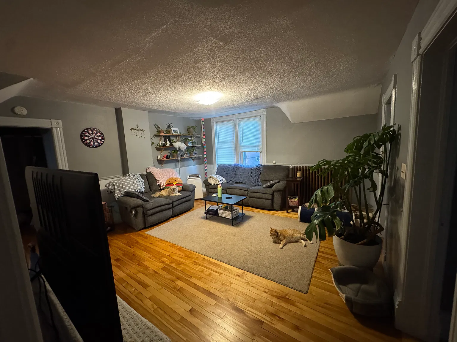 3 bed, 1200 sqft, $1,335 — Photo 3
