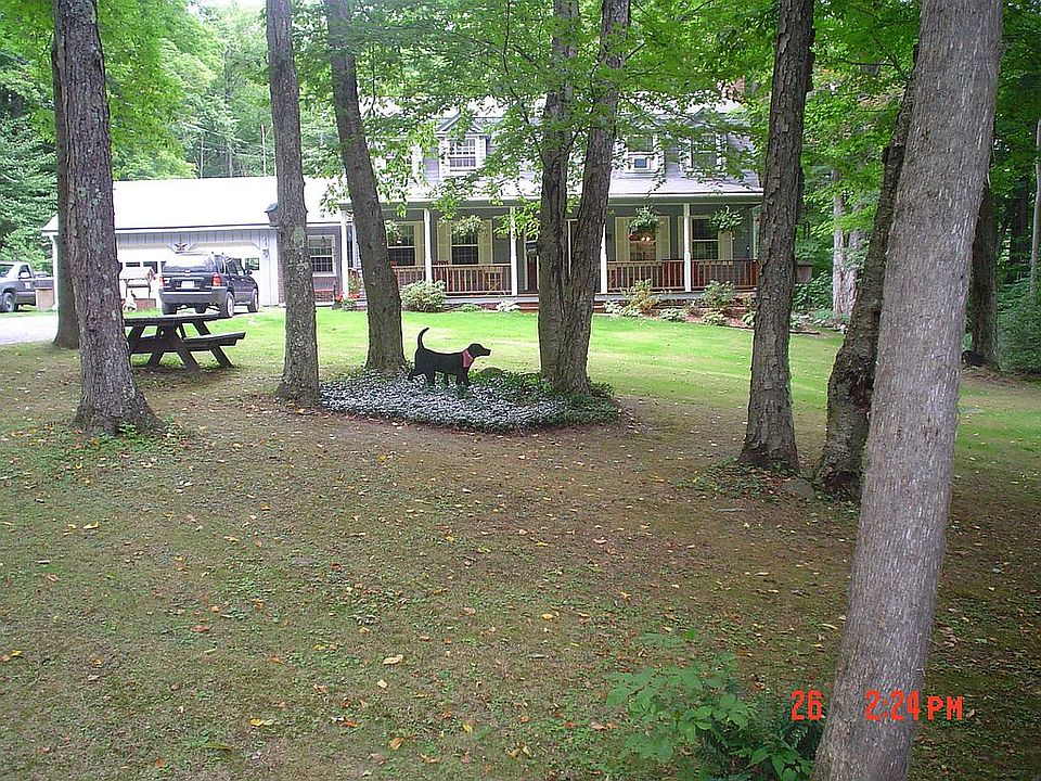 View From Stream Bed