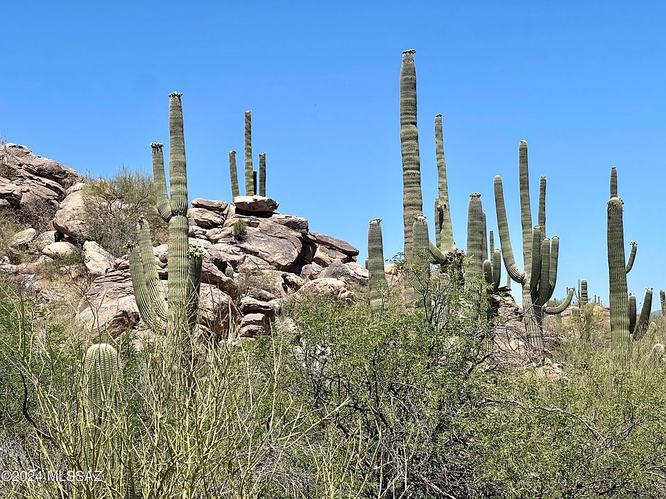 1st image of 358 W Granite Gorge Dr #556