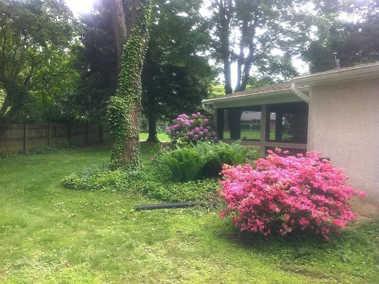 301 Beechwood Rd — Photo 3