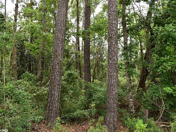 2nd image of 10092 Bayou Cir Lot 5