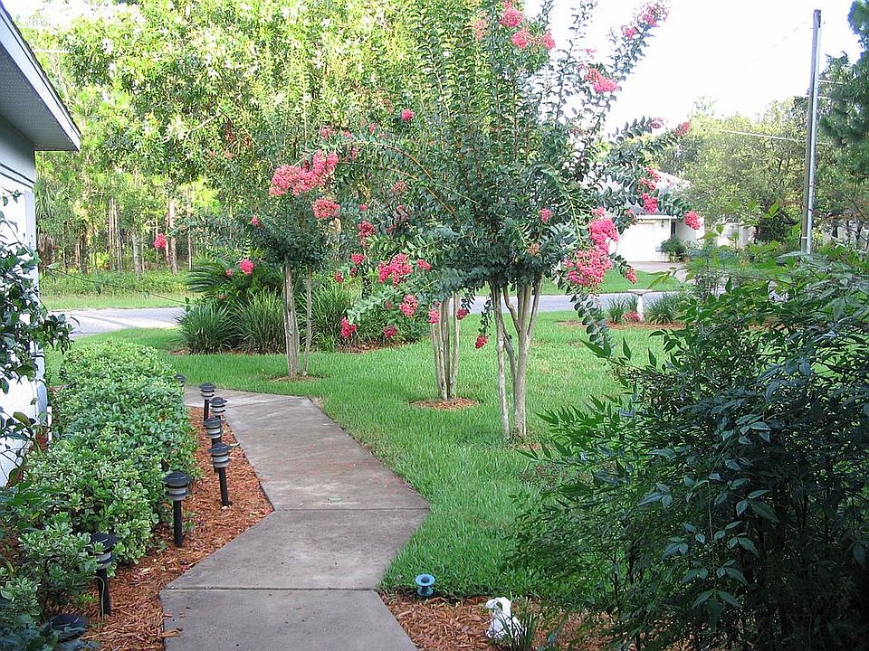Front Yard