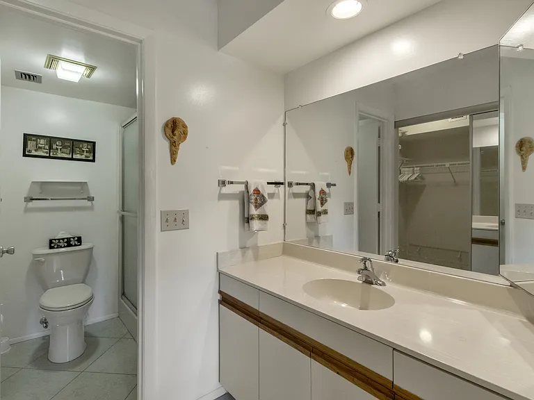 Primary ensuite bathroom w/ a walk-in shower & HUGE Primary walk-in closet