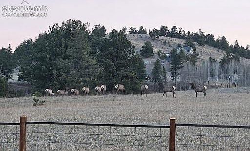 2nd image of 350 High Pasture Rd