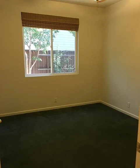 604 Snapdragon Ct — Photo 14