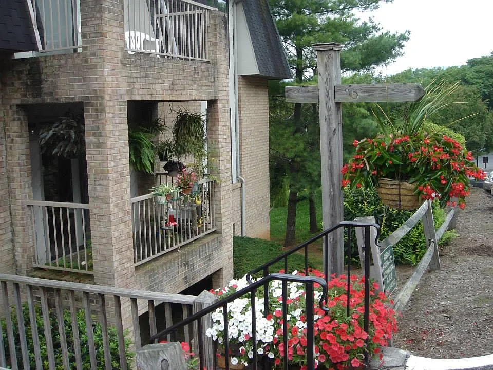 2 bed, 1.5 bath, 920 sqft, $1,250 — Photo 1