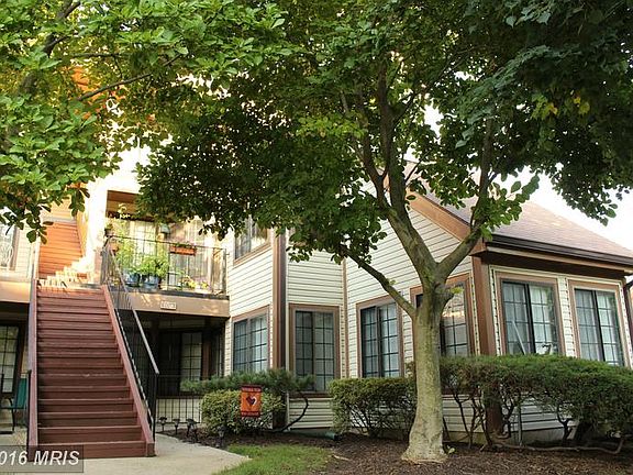 Exterior (Rear)
