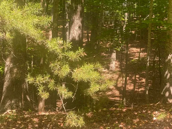 8 Crawford Dr, Moneta, VA 24121