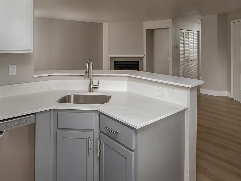 Renovated Kitchen and Living Area