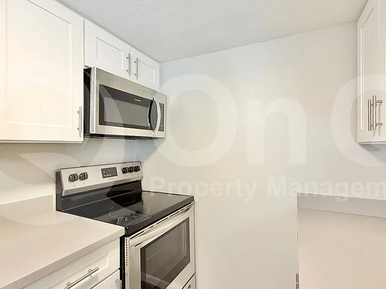 44 E Roanoke Ave #8 — Photo 4