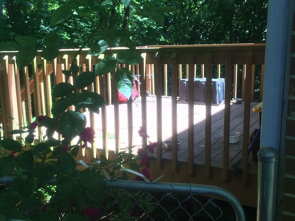 Deck/back yard