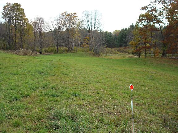 back field, behind pond