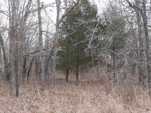 Ritchie Ln, Edwards, MO 65326