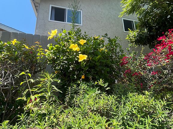 2nd image of 7882 Camino Huerta
