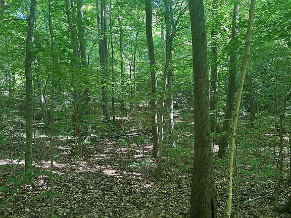 4th image of LT Nine 11 Senequa Rd