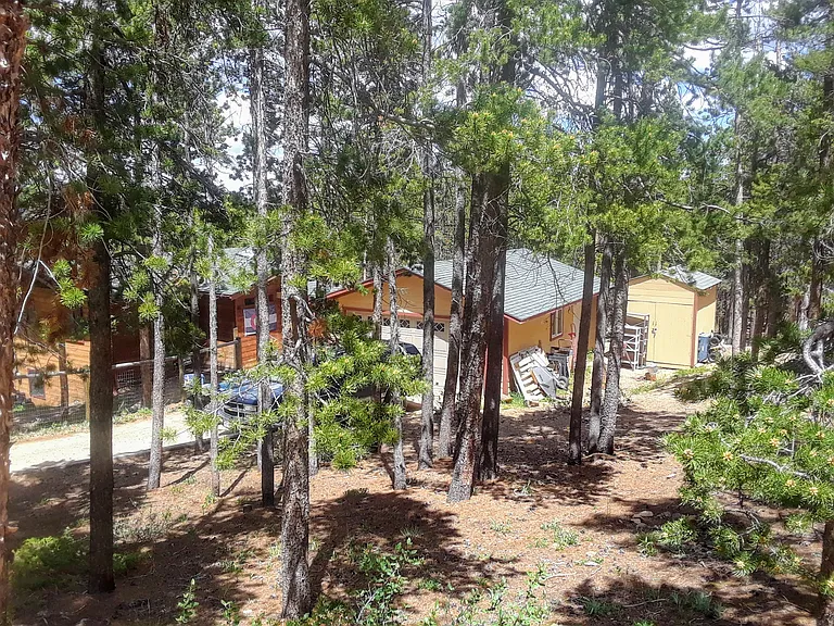 House, garage, and one of the sheds