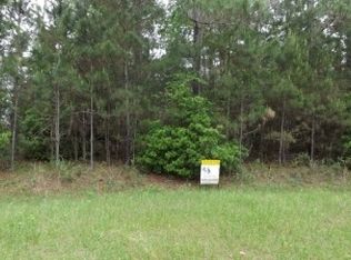 NE Blue Ridge Landing Ave, Lee, FL 32059