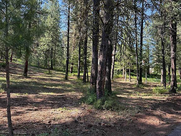 4th image of LOT 13 Lewis Dr