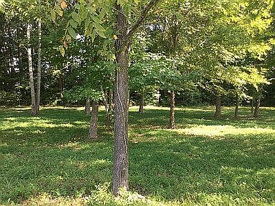 1st image of Woods Lake 13 15 Mult Lots