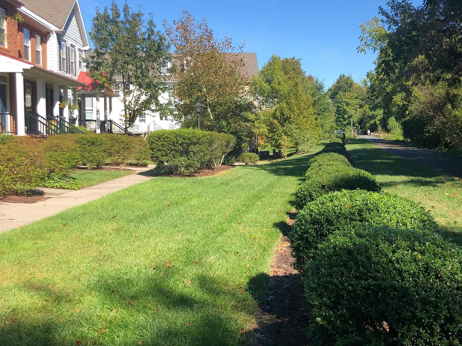 3 bed, 2.5 bath, 2000 sqft, $3,000 — Photo 4