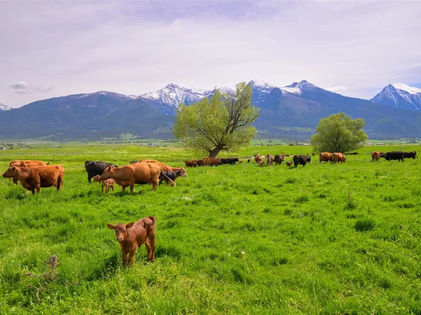 Watson Rd, Saint Ignatius, MT 59865