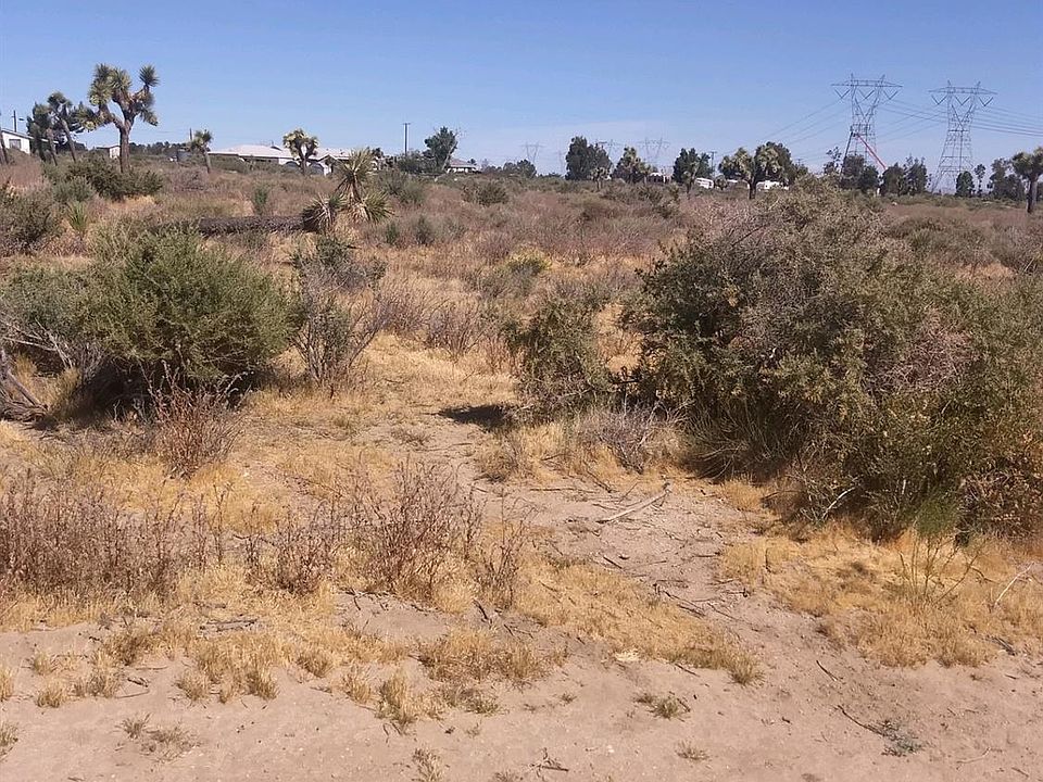 2nd image of Coyote Rd