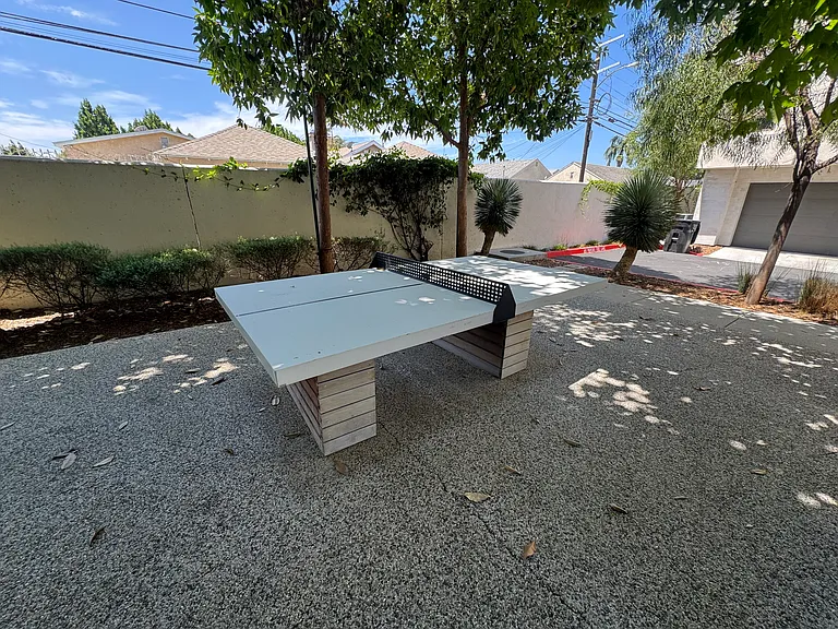 Community table tennis