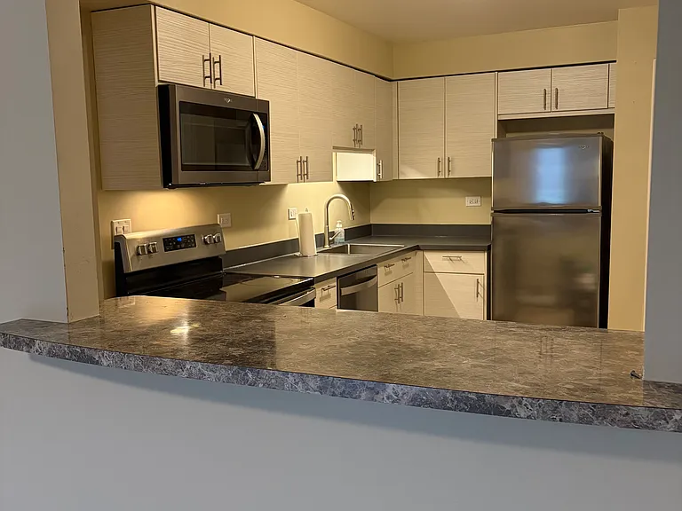 711 E Falcon Dr #201 — Photo 13
