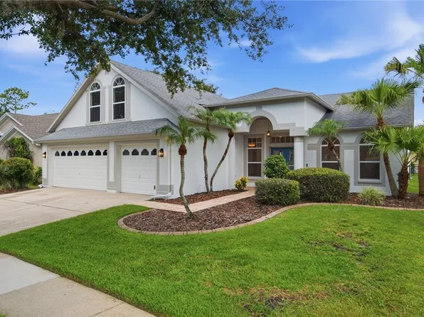 10226 Timberland Point Dr, Tampa, FL 33647