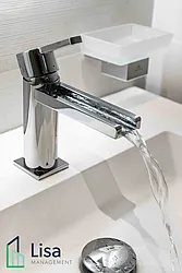 Rented by Lisa Management Inc