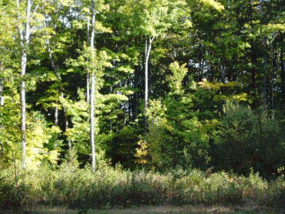 5th image of On Woodduck Dr