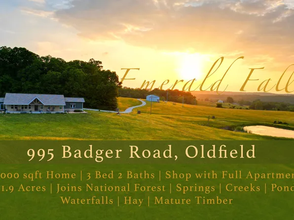 995 Badger Road, Oldfield, MO 65720