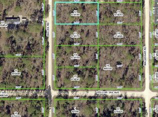 Macek Rd, Weeki wachee, FL 34614