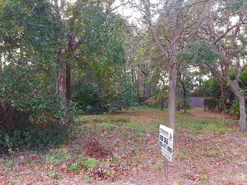 2nd image of 302 Orchis Rd