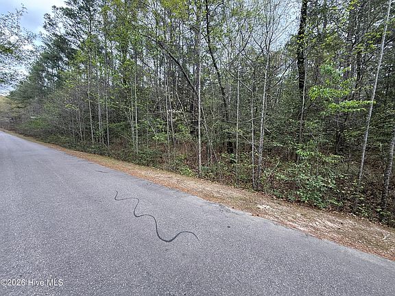 5th image of 362 Thimbleberry Drive