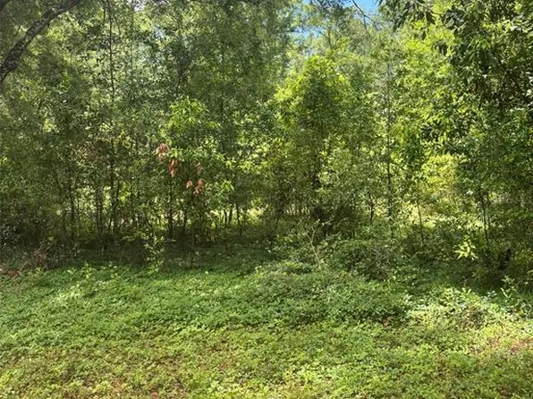 8230 NW 166th St Lot 8, Trenton, FL 32693